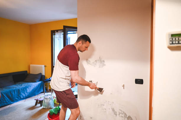 Best Post-Flood Mold Remediation in Big Rock, IL